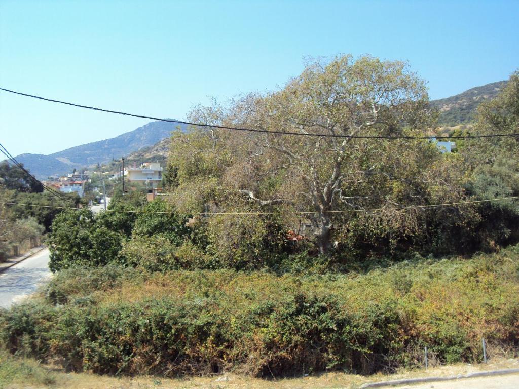 PalaiónTsiflíkion Amaliaアパートホテル 部屋 写真